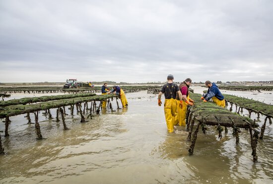 Secteurs d'activités poissons et coquillages