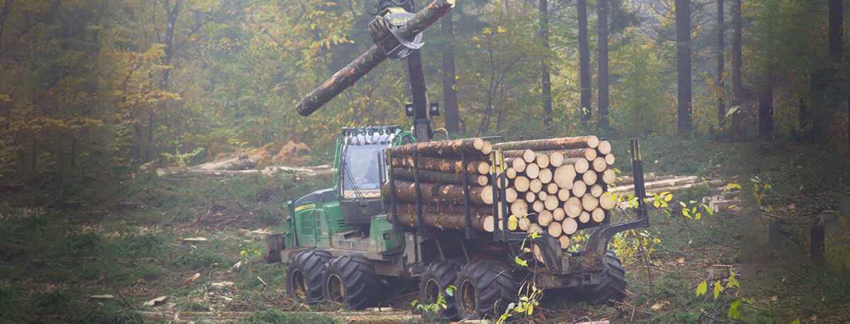 Métier - Conducteur d’engins forestiers