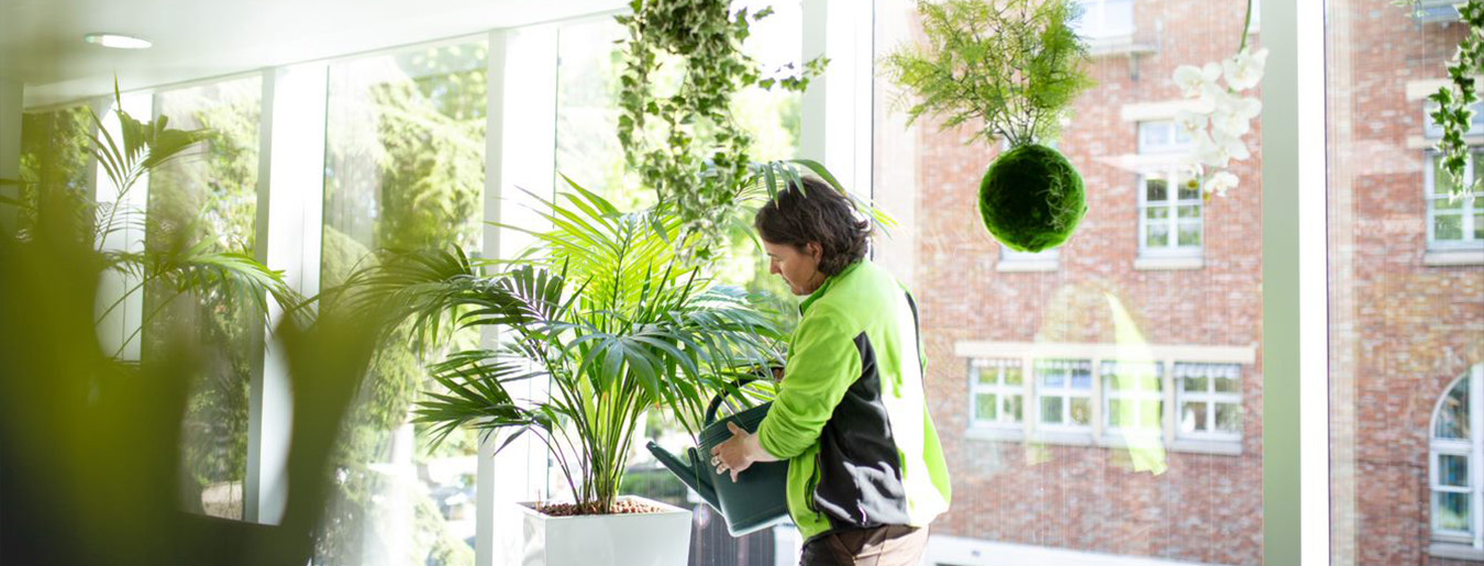 Jardinier.ère paysagiste d'intérieur