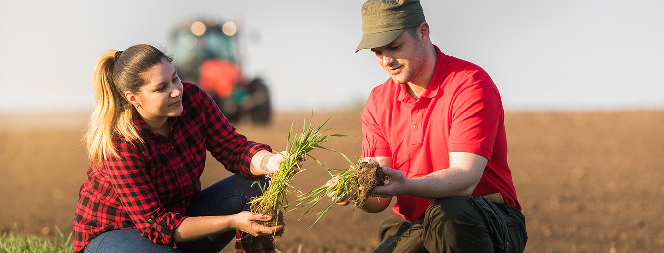 Métier - Conseiller agricole