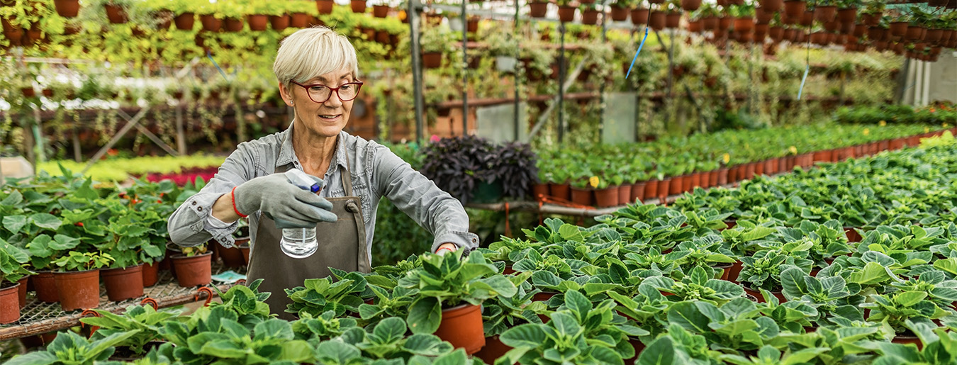 Métier - Chef.fe de culture horticole