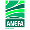 logo anefa normandie