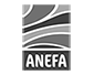 logo ANEFA
